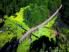 Cầu tre xuyên rừng tràm Trà Sư