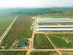 Siêu dự án trang trại của Vinamilk tại Lào sẽ 'cho sữa' vào đầu 2022