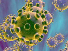 Người có HIV có nên tiêm vắc xin covid-19 không?. Câu trả lời là có!