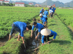 Ninh Bình: Phát huy vai trò của tổ chức Đoàn trong việc tham gia xây dựng nông thôn mới tại huyện Hoa Lư