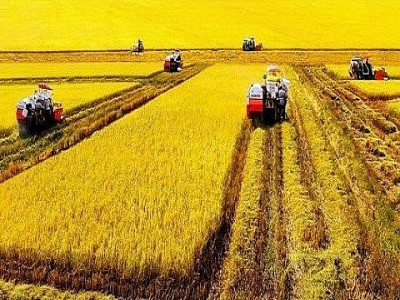 Phát triển ĐBSCL thành trung tâm kinh tế nông nghiệp bền vững, năng động, hiệu quả cao