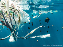 Những con số đáng trăn trở về rác thải nhựa đại dương