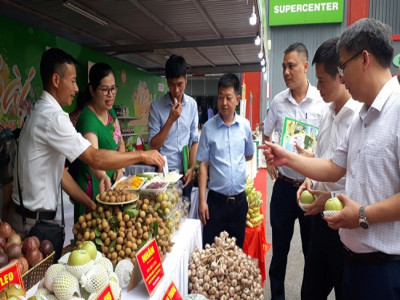 Sơn La đưa nông sản an toàn về Siêu thị Big C Thăng Long phục vụ người  tiêu dùng Thủ đô
