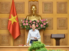 Phó Thủ tướng Lê Minh Khái: Nghiên cứu các phương án giảm thuế để hỗ trợ người dân, doanh nghiệp