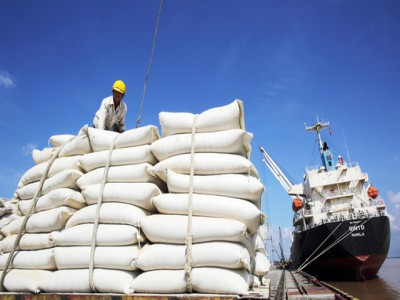 Nghiên cứu việc Ấn Độ cấm xuất khẩu gạo, thực hiện các giải pháp phù hợp