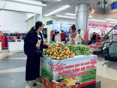 Tuần Lễ thương mại, du lịch và nông sản an toàn tỉnh Sơn La tại Co.opmart Hải Phòng