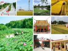 Tỉnh Thái Nguyên hoàn thành các chỉ tiêu nông thôn mới năm 2018