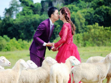 Đồng cừu Suối Nghệ - Điểm hẹn lãng mạn của các cặp đôi trẻ