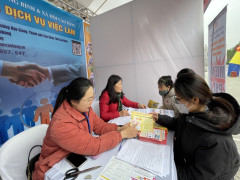 Trung tâm Dịch vụ việc làm tỉnh Cao Bằng: Triển khai nhiều giải pháp thực hiện chính sách bảo hiểm thất nghiệp