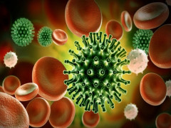 Ghi nhận biến thể JN.1 của virus SARS-CoV-2 gia tăng trên toàn cầu
