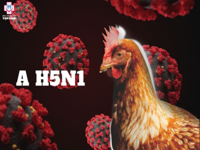 Ghi nhận bệnh nhân mắc cúm A (H5N1) thứ 2 kể từ năm 2014