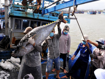 Gỡ cảnh báo “Thẻ vàng” của Ủy ban châu Âu gắn với phát triển bền vững kinh tế biển, bảo đảm quốc phòng an ninh trên địa bàn tỉnh Phú Yên