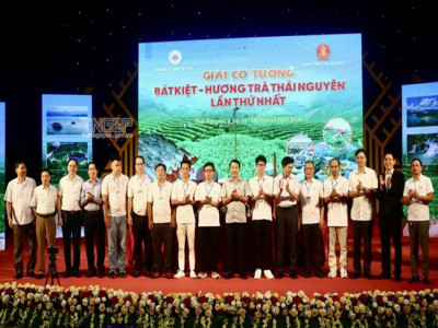 Các kỳ thủ cờ tướng hàng đầu Việt Nam tranh tài tại Giải cờ tướng Bát Kiệt - Hương trà Thái Nguyên